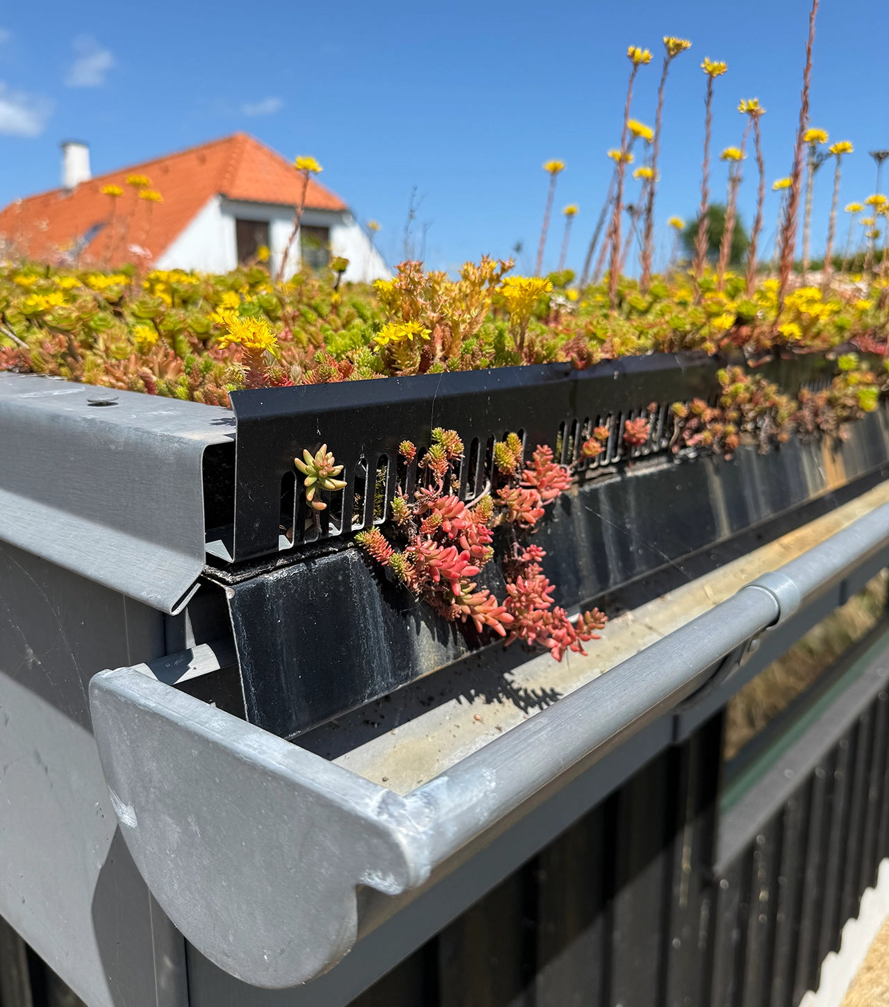 Kantskinner med drænhuller (Sort) 40 mm