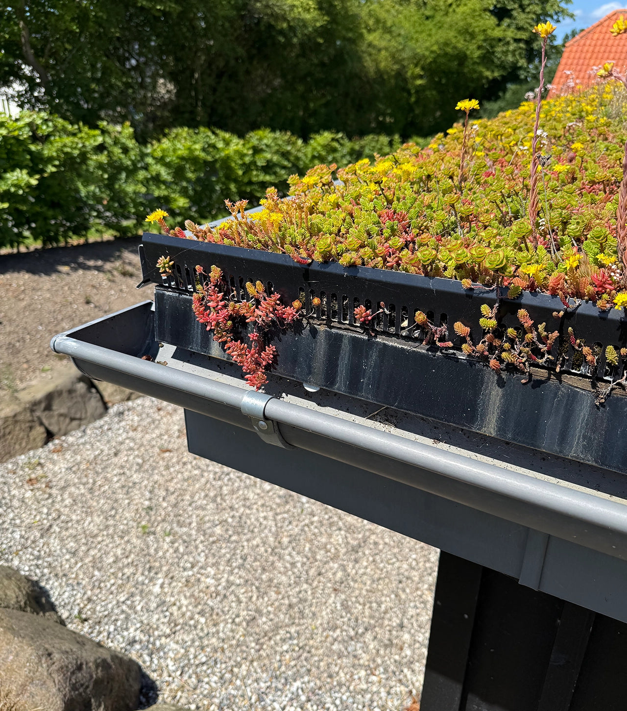 Kantskinner med drænhuller