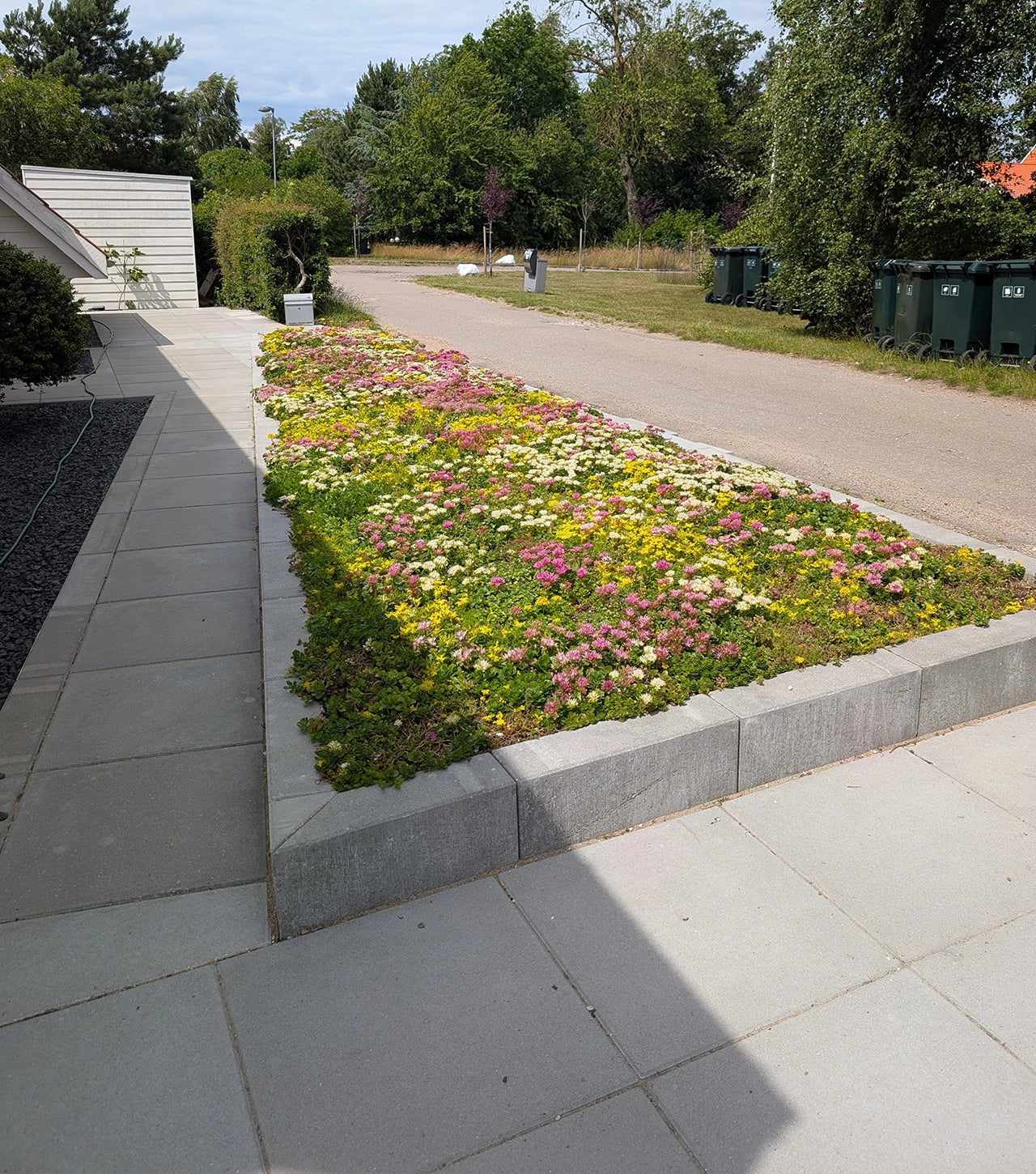 Sedummåtter - NordicMat™