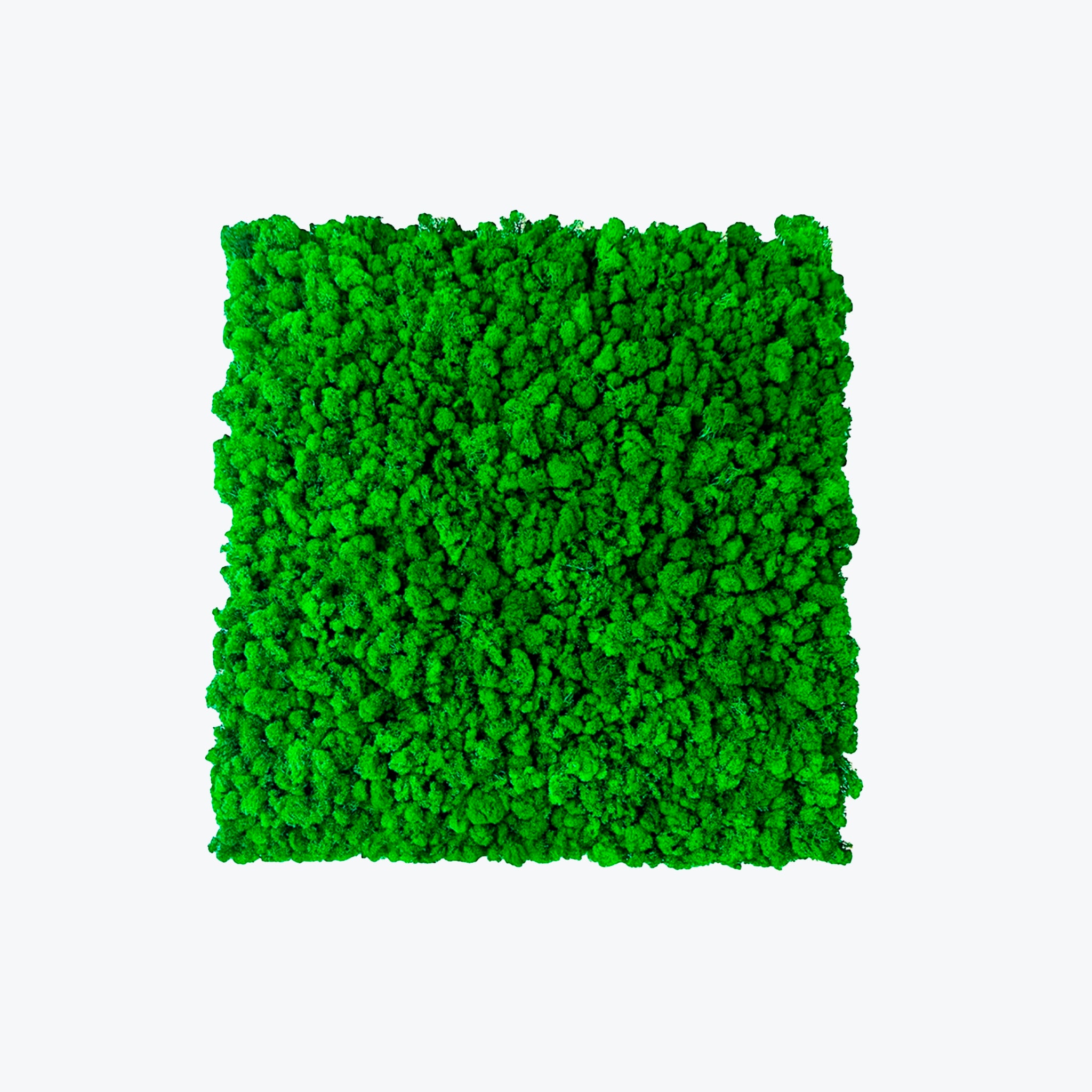 Mospanel til væggen