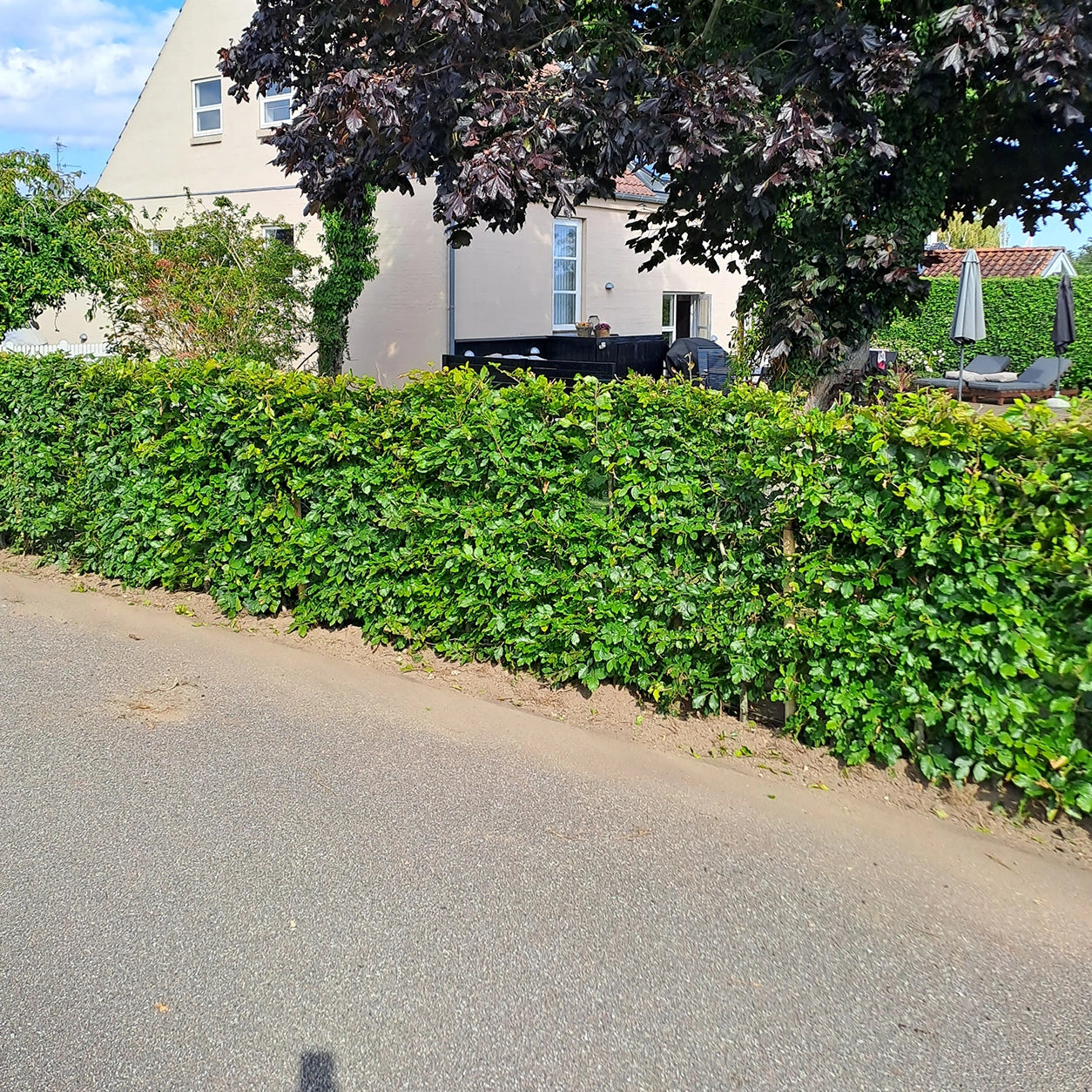 Growtek.dk