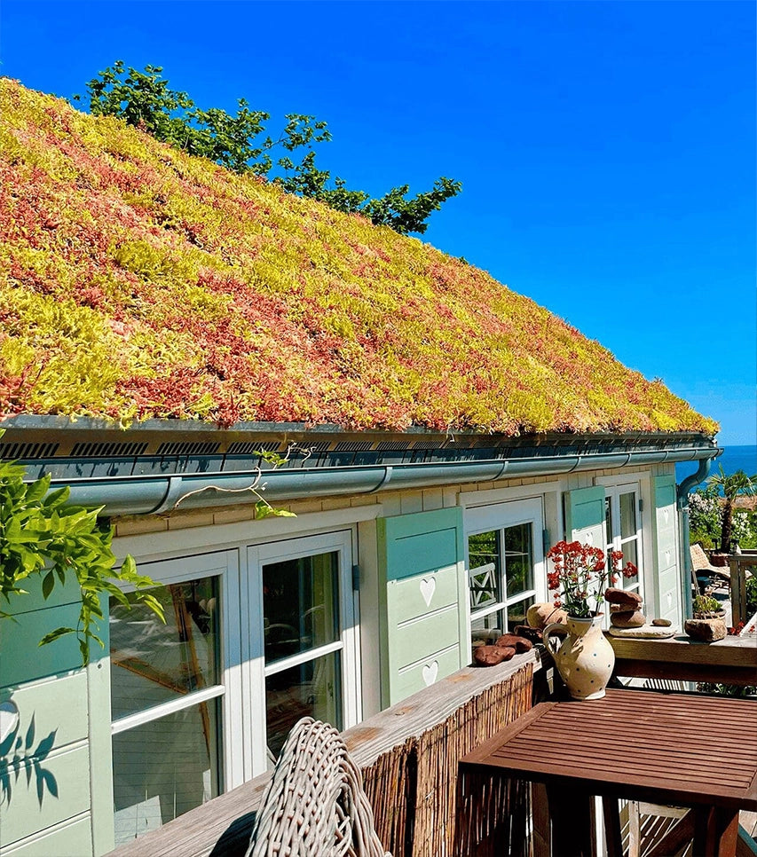 SedumLight™ Opbygning