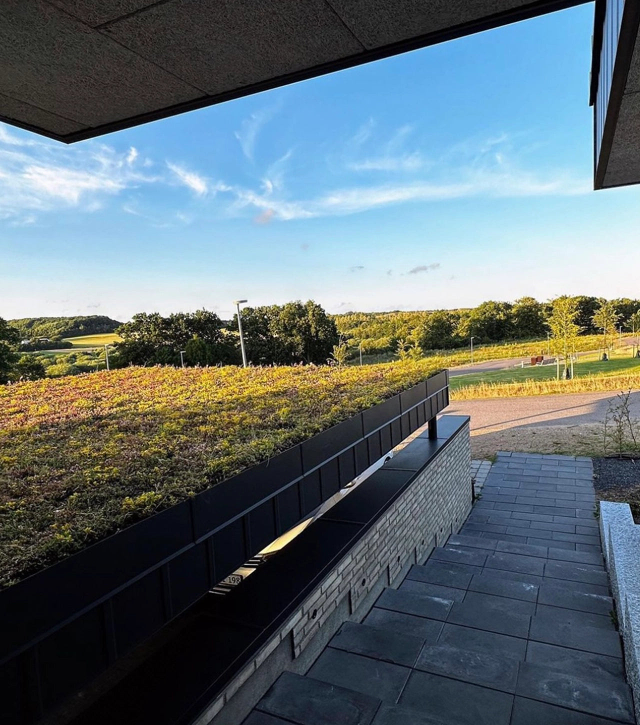 SedumLight™ Opbygning