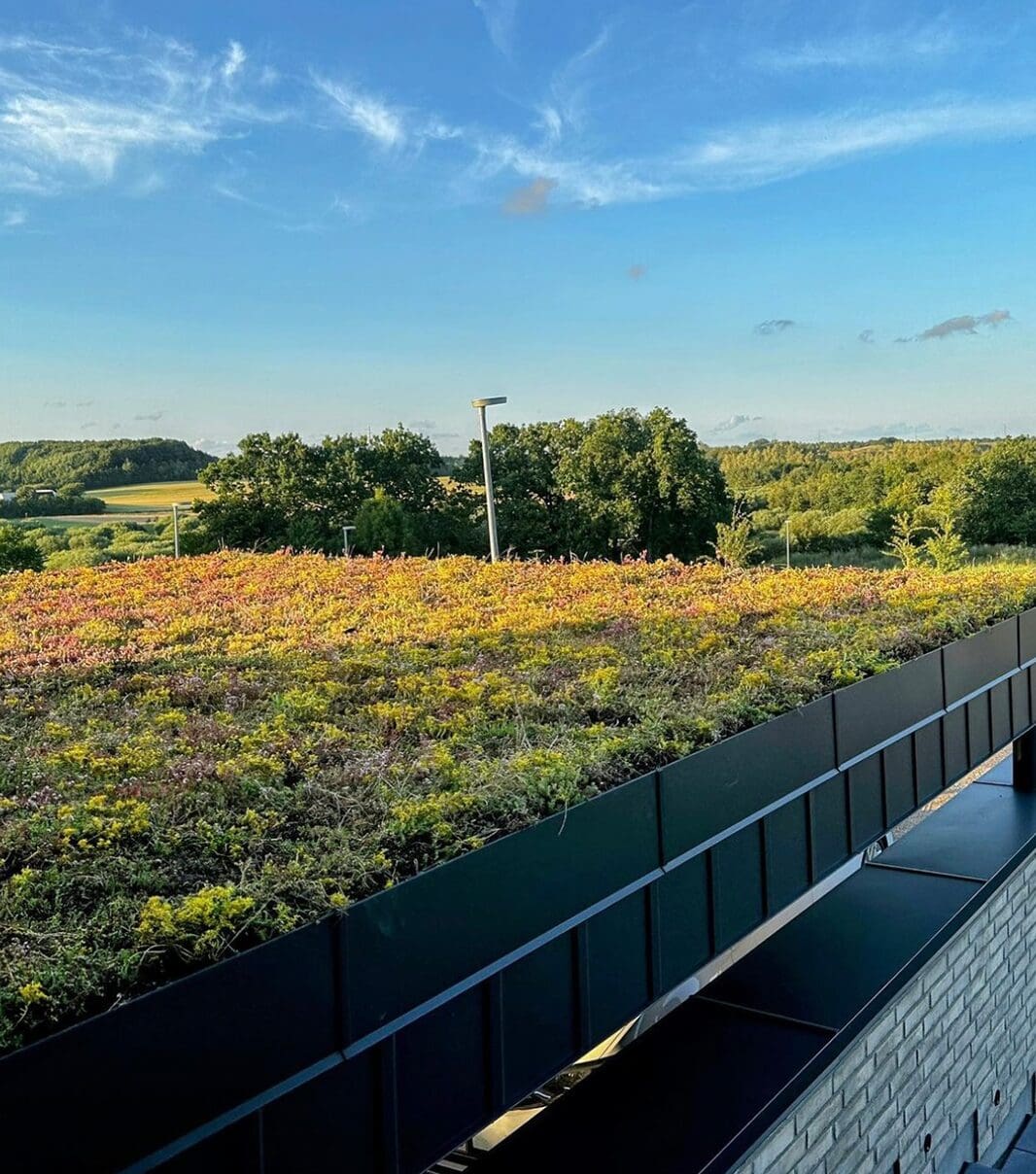 Sedumbakker - NordicTray™