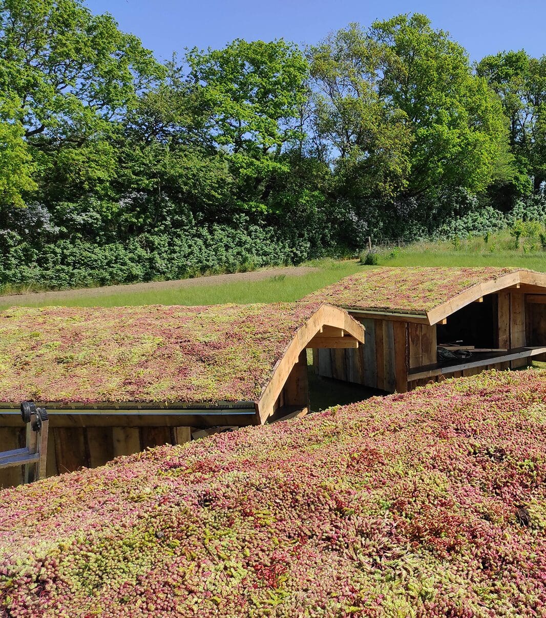Sedumbakker - NordicTray™